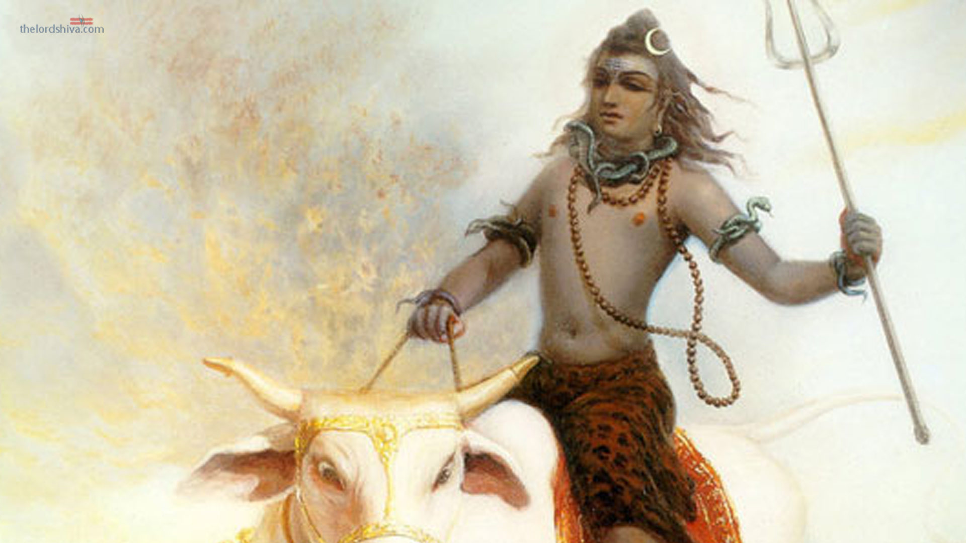 Nandi Avatar image